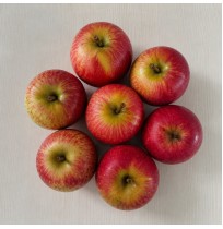 Baby Apples - ROYAL DELICIOUS 